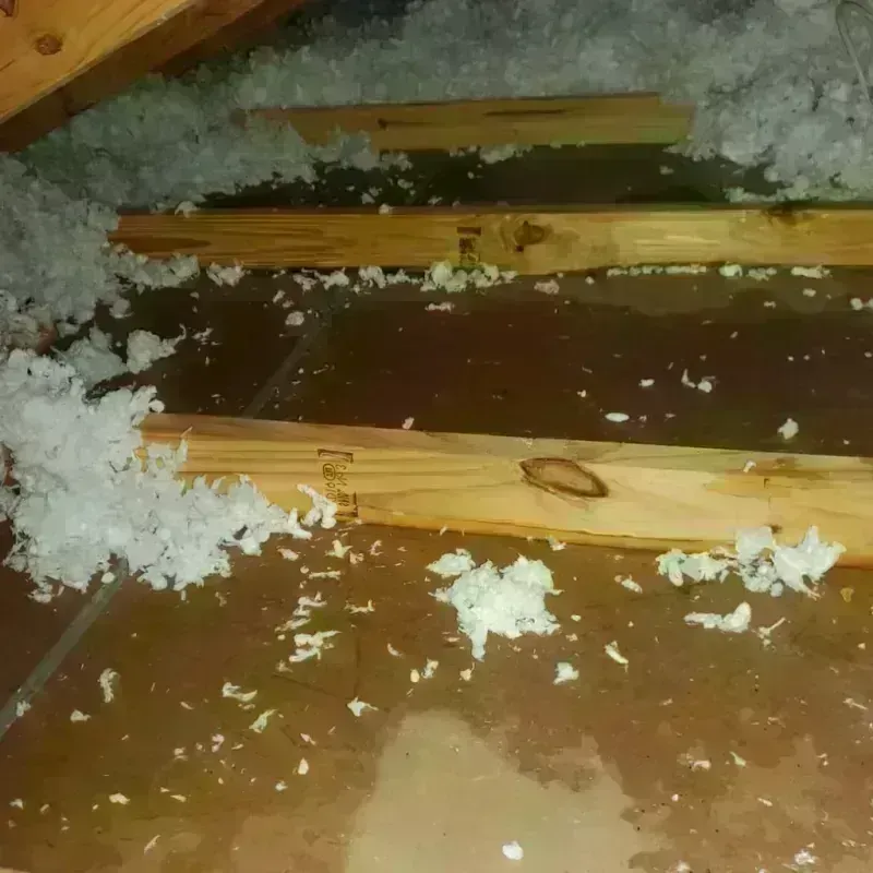 Attic Water Damage in Dickson, OK