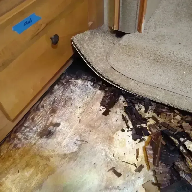 Wood Floor Water Damage in Dickson, OK